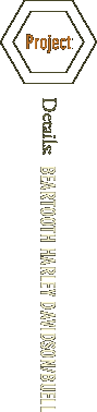 Beartooth Harley-Davidson/Buell